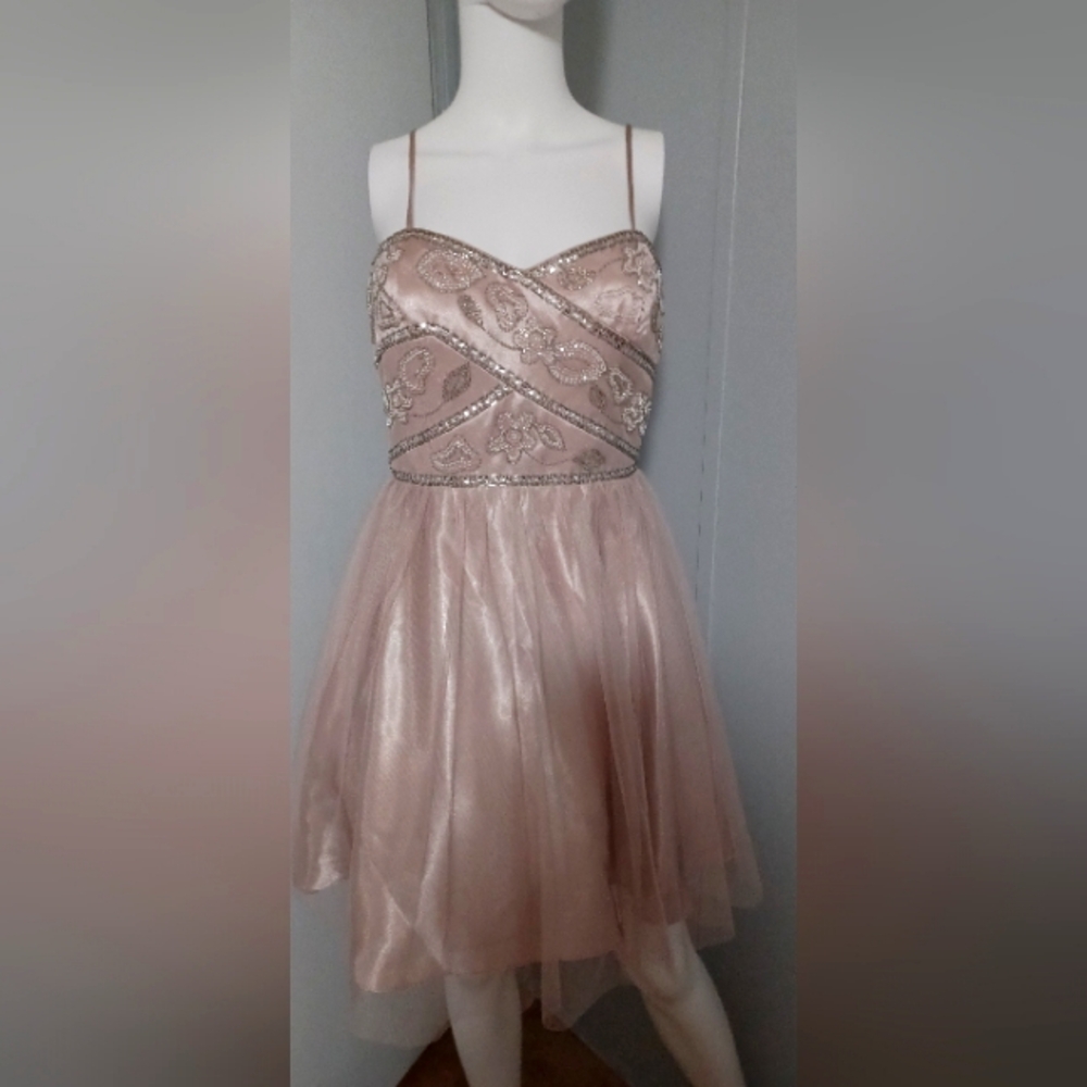Jump Apparel Blush  Dress